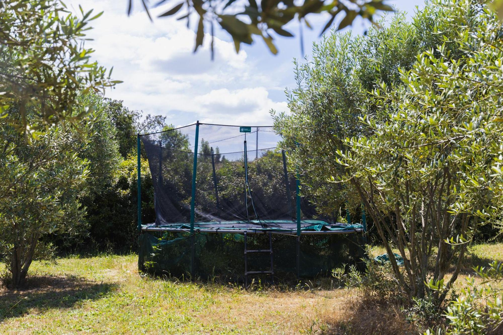 Chambre D'Hotes - B&B - Grand Luberon Chez Manon En Luberon Lagnes Exterior photo